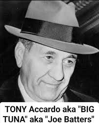 Joseph Accardo's Instagram, Twitter & Facebook