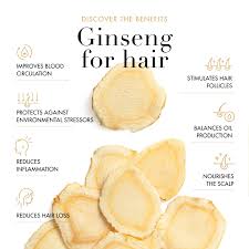 Image result for Ginseng