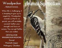 Healingcrystals Com In 2020 Animal Medicine Animal Spirit Guides Animal Totem Spirit Guides