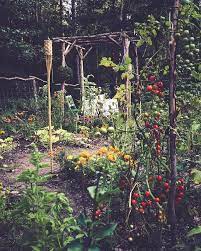 Garden In The Forest A Secret Garden Sanctuary With Flowers And Veggies Forest Garden Secret Garden Dream Garden