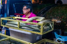 1228l, jalan paya terubong, bandar baru air itam, 11500 ayer itam, penang island, malaysia. Paya Terubong Night Market On Every Sunday Penang Crisp Of Life