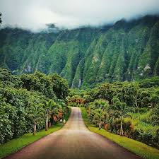Pin On Oahu Photos I Took