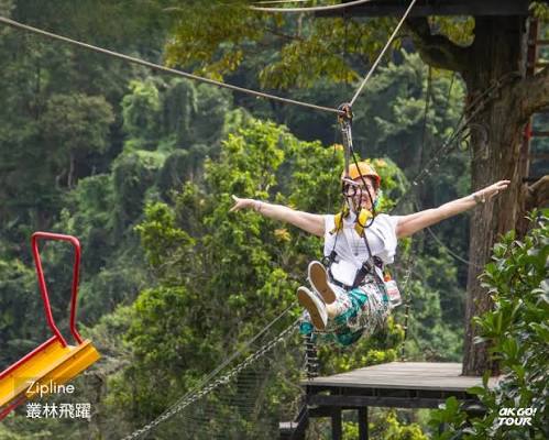 清邁叢林飛躍 Zipline