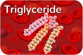 Triglyceride Normalwerte Tabelle