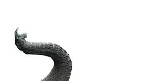 Enchanted dragon tattoos and piercing 603 s. Pac A Dermis Tattoo Artist Page