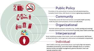 Retardation of myelination due to dietary vitamin b12 deficiency: Population Level Changes In Lifestyle Risk Factors For Cardiovascular Disease In The Heart Of New Ulm Project Sciencedirect