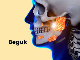 Obat benjolan pada kulit testis. Cara Merawat Dan Pantang Larang Penyakit Beguk Di Leher