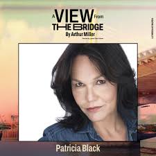 We are thrilled to announce our cast for Arthur Miller's A VIEW FROM THE  BRIDGE! Long Wharf Theatre has always been an artistic home for world-class  artists, the ensemble of actors we've
