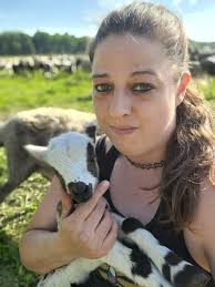 Always something new to get into when you're a sheep. They've only been  grazing the field in the first photo for years and years, the trees are new  probably 5-6 years ago,