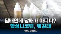 담배인데 담배 아닌 합성니코틴, 왜? | 과학뉴스 24.12.06 ...