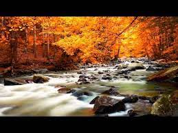 Música relaxante com flauta indígena e sons da natureza, com riacho, pássaros, sons da floresta e água, música zen para meditar e dormir. Relaxar Musica Relaxante Para Dormir Com Suave Som De Cachoeira E Floresta Youtube Musica Relaxante Som De Chuva Musica Para Meditacao