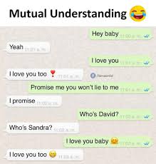 Memes Ki Duniya I Love You Baby Facebook