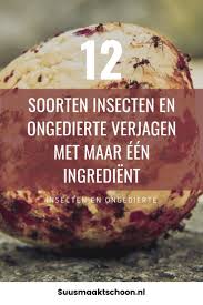 de beste oplossing ooit om insecten en ongedierte te weren insecten ongedierte in de tuin vliegen bestrijden