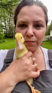 Can duck pond water be used