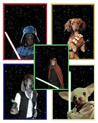 Star Wars Dogs War Dogs Dachshund Love Star Wars