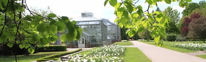 Things to do near botanical garden (botanischer garten). About The Park Botanical Volkspark