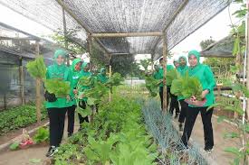 Sehingga, melalui tujuan ini, potensi perbenturan antar masyarakat sipil atas nama keamanan dan ketertiban berpeluang terjadi. Persit Kostrad