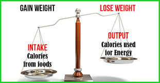 the best 4 week indian diet plan for weight loss