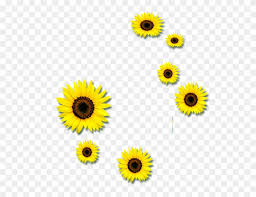 Free Free 326 Vector Clipart Sunflower Png SVG PNG EPS DXF File