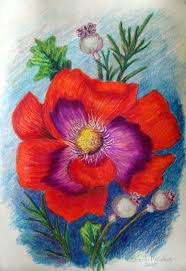 Pin On Drawings