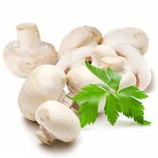 L'immagine di una funzione è l'insieme dei valori assunti da una funzione sul proprio dominio, ed è quindi contenuta nell'insieme di arrivo della funzione (il codominio), con il quale può al più coincidere. Balle Di Funghi Champignon Bianco Balla Kg 4 Savini Vivai