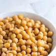 Chickpea