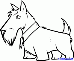 How To Draw A Scottie Dog Scottish Terrier Scottie Dog Scottie