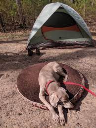 Mother S Day Camping Trip With The Old Man 12 Years Young Camping Hiking Outdoors Tent Outdoor Caravan Camping Near Me Camping Trips Best Camping Gear