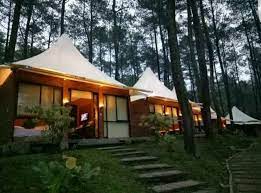 Untuk kamu yang berwisata di orchid forest, tentu saja akan ada banyak hal seru yang bisa kamu temukan. Grafika Cikole Urban Camp In Lembang Bandung West Java