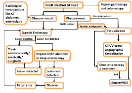 Image result for Small Intestinal Bleeding