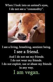 When I Look Into The Eyes Of An Animal I Do Not See An Animal Vegetarian Friend When I Look Into The Eyes Of An Animals I Do Not See An Animal I See A Living Being I See A Vegan Animals Vegan Facts Reasons