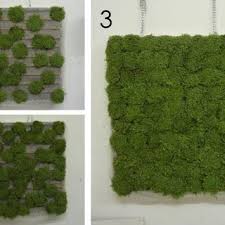 Air purifying plants beside air purification, these moss graffiti panels are sound absorbing looking for more moss or learn more about indoor plants that clean the air and remove toxins.!! Pdf Sound Absorption Properties Of Tropical Plants For Indoor Applications
