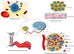 Dayo wong stars as top agent mr. Cxcr4 Antagonist Amd3100 Plerixafor From An Impurity To A Therapeutic Agent Sciencedirect