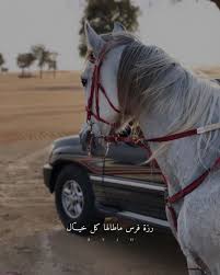 s instagram photo 𝕋𝕨𝕚𝕥𝕥𝕖𝕣 cute horse pictures horse senior pictures horse wallpaper