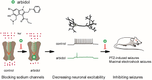 Image result for Sodium Channel Blocker
