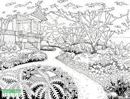 Drawntogarden Garden Drawing Draw Plants How To Draw Plants