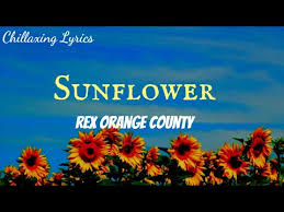 The project was originally a collaboration between walt disney and spanish. Rex Orange County Sunflower Lyrics Video Youtube