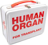 AQUARIUS Human Organ Large Fun Box - Sturdy Tin Storage Box with Plastic  Handle & Embossed Front Cover - Officially Licensed Human Organ Merchandise  ...