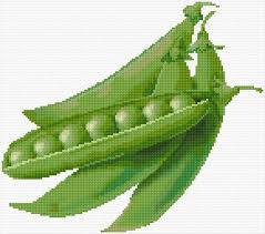 Check spelling or type a new query. Peas Cross Stitch Designs