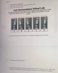 Perfect for flipped classroom, home schooling, exam preparation. Solved Part Iii Cell Homeostasis Virtual Lab Fill In Chegg Com