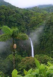 Welcome To The Jungle Beautiful Nature Beautiful Places Scenery