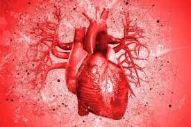 By telling realtor® stories, we aim to inspire others to do the same. Mini Heart Grown In The Lab Can Pump Fluid Just Like The Real Thing New Scientist