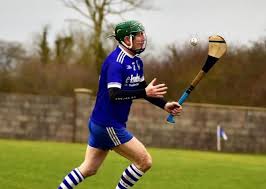 Thurles lose out in Battle of the Sarsfields in Junior B All Ireland semi  final