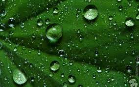 Raindrop Wallpaper