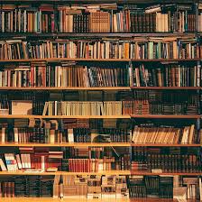 Het boek 'de geniale stad' van de vlaamse auteur koen de vos is een goed gedocumenteerde ode aan de italiaanse renaissance. De Leuven Leest Favorieten Van 2020 Leuven Leest