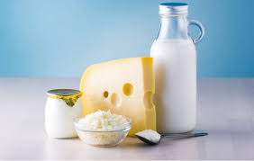 Beneficios de la leche de vaca para los seres humanos | elTitular.do