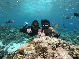 Ini adalah kumpulan foto tentang keindahan alam laut yang mempesona. Secuil Surga Bawah Laut Yapen Papua