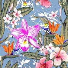Flower flowers pattern pattern vector blue vector pink vector floral vector. Seamless Floral Pattern Pink Pastel Color Hibiscus Frangipaniand Orchid Flowers On Isolated Blue Background Vector Illustration Watercolor Hand Drawn Doodle 540298 Vector Art At Vecteezy