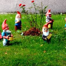 As soon as a living gnome enters the room medusa spins around and what can the gnome do but look? The History Of The Garden Gnome Dengarden