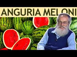 Maybe you would like to learn more about one of these? Dott Mozzi L Anguria I Meloni E La Frutta D Estate Youtube